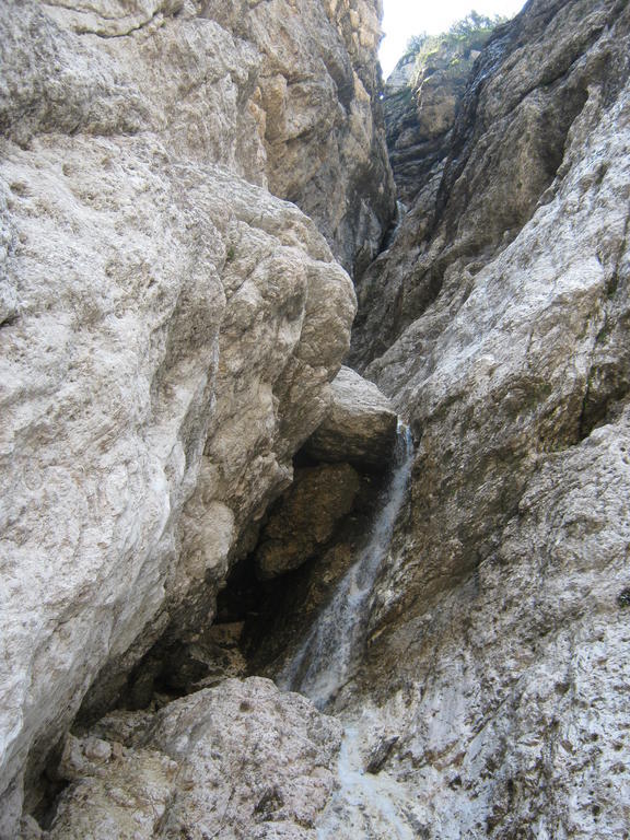 Giasenei